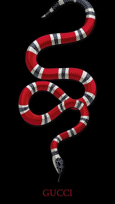 download gucci snake